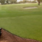 Cost for a GPS Golf Watch